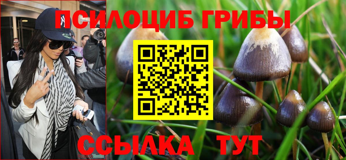 Сыктывкар  Псилоцибиновые грибы Magic Shrooms  Вход с VPN  хочу   Псилоцибиновые грибы Magic Shrooms 