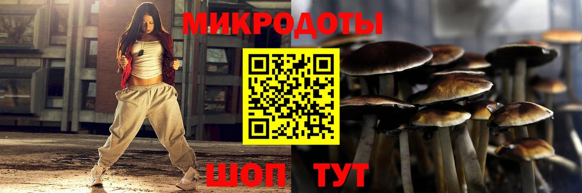 Галлюциногенные грибы мухоморы Сыктывкар